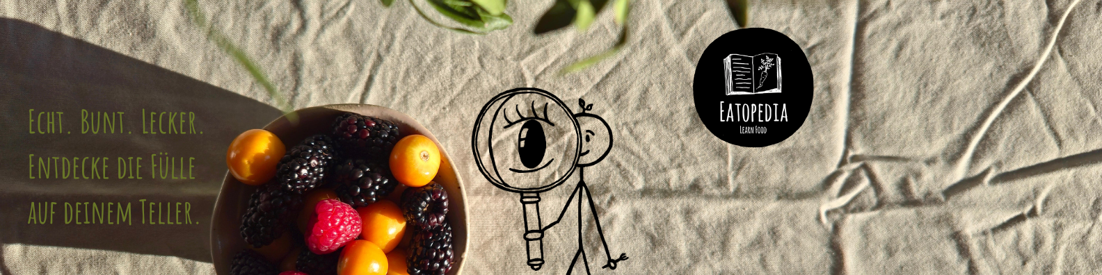 slideshow banner